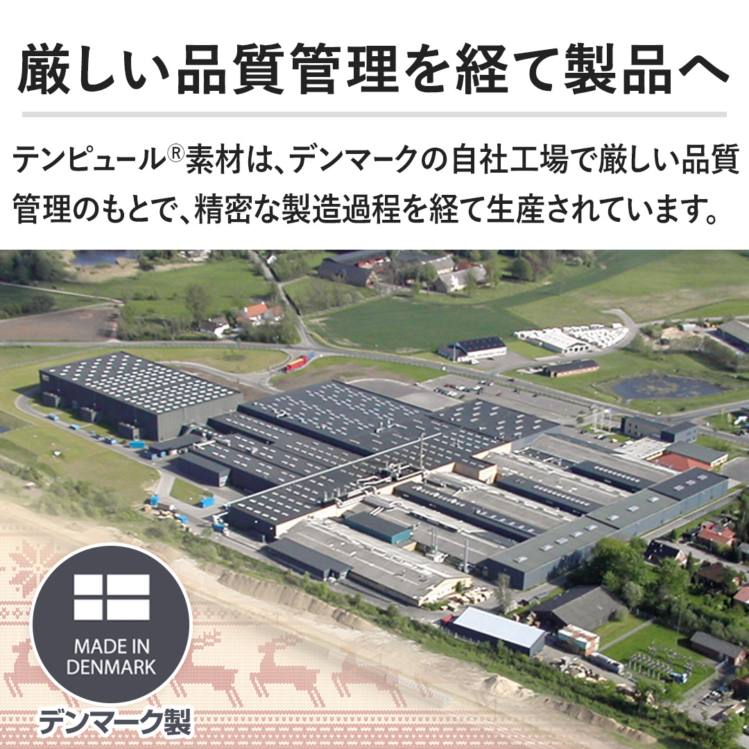 �y�������i���Ǘ����o�Đ��i�ցz�e���s���[��(R)�f�ނ́A�f���}�[�N�̎��ЍH��Ō������i���Ǘ��̂��ƂŁA�����Ȑ����ߒ����o�Đ��Y����Ă��܂��B