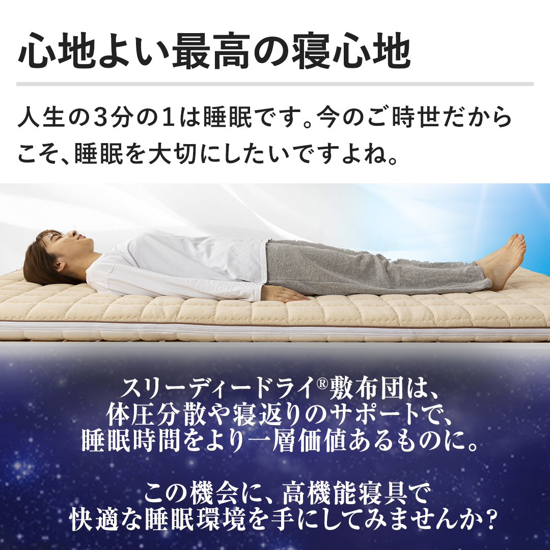 モリリン 布団・快眠グッズ スリーディードライ（R）敷布団「極
