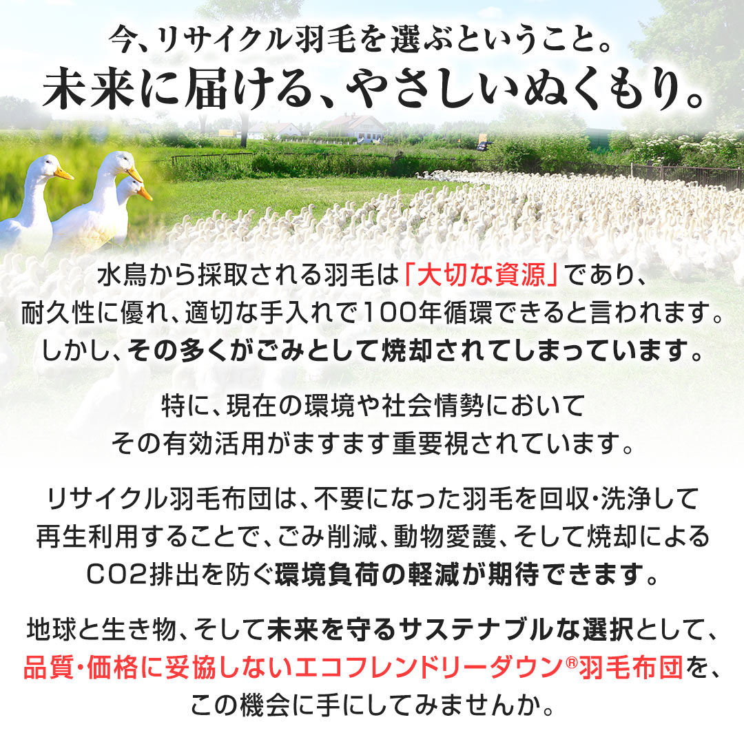 ���A���T�C�N���H�т�I�ԂƂ������ƁB�����ɓ͂���A�₳�����ʂ�����B