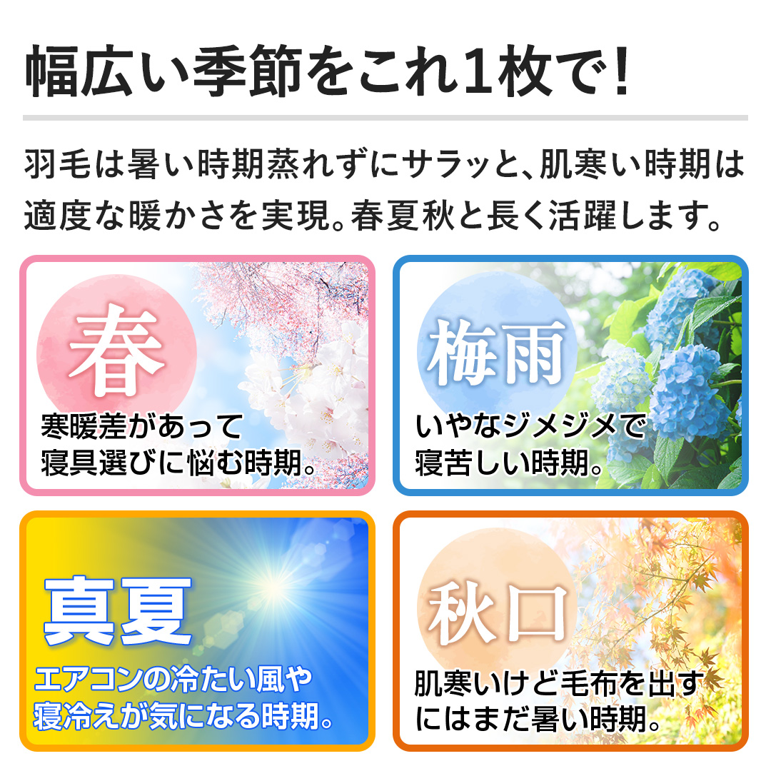 �y���L���G�߂�����1���ŁI�z�H�т͏����������ꂸ�ɃT���b�ƁA�����������͓K�x�Ȓg�����������B�t�ďH�ƒ������􂵂܂��B