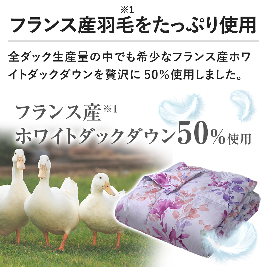 �y�t�����X�Y�H�т������Ղ�g�p�z�S�_�b�N���Y�ʂ̒��ł��󏭂ȃt�����X�Y�z���C�g�_�b�N�_�E�����ґ��50%�g�p���܂����B