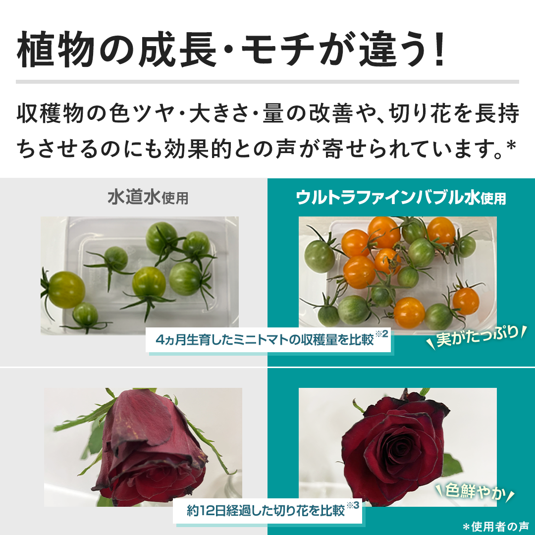 �y�A���̐����E���`���Ⴄ�I�z���n���̐F�c���E�傫���E�ʂ̉��P��A�؂�Ԃ𒷎���������̂ɂ����ʓI�Ƃ̐����񂹂��Ă��܂��B