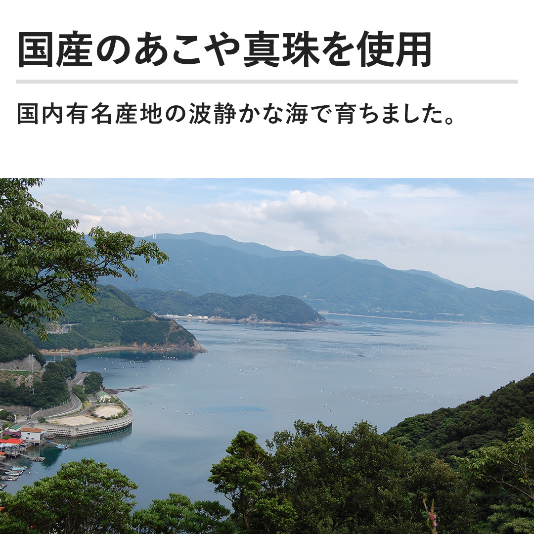 ���Y�̂�����^����g�p�@�����L���Y�n�̔g�Â��ȊC�ň炿�܂����B