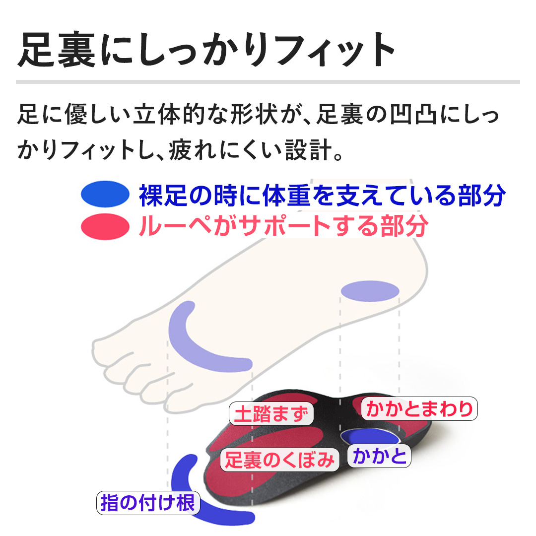 �y�����ɂ�������t�B�b�g�z���ɗD�������̓I�Ȍ`�󂪁A�����̉��ʂɂ�������t�B�b�g���A���ɂ����݌v�B