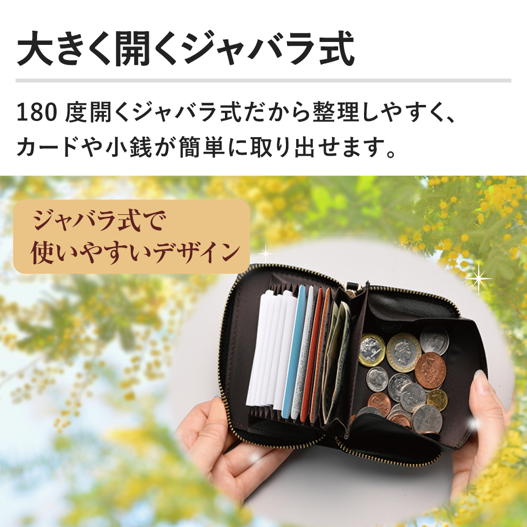 �y�傫���J���W���o�����z180�x�J���W���o���������琮�����₷���A�J�[�h�⏬�K���ȒP�Ɏ��o���܂��B