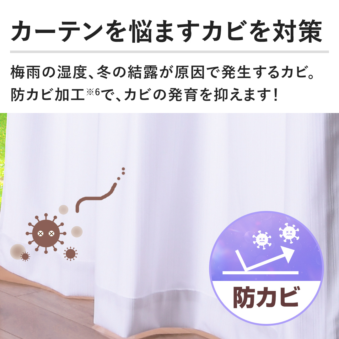 �y�J�[�e����Y�܂��J�r��΍�z�~�J�̎��x�A�~�̌��I�������Ŕ�������J�r�B �h�J�r���H�ŁA�J�r�̔����}���܂��I