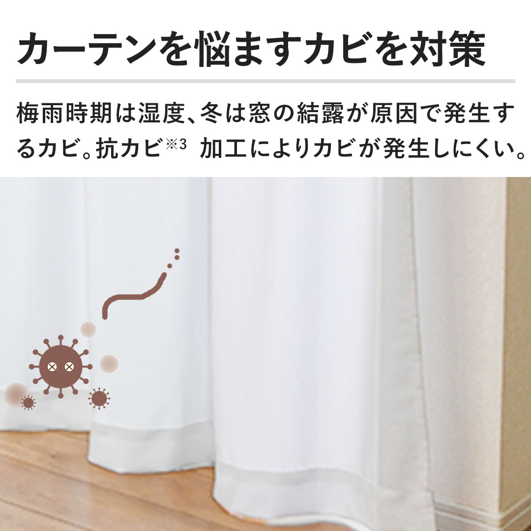 �y�J�[�e����Y�܂��J�r��΍�z�~�J�����͎��x�A�~�͑��̌��I�������Ŕ�������J�r�B�R�J�r���H�ɂ��J�r���������ɂ����B