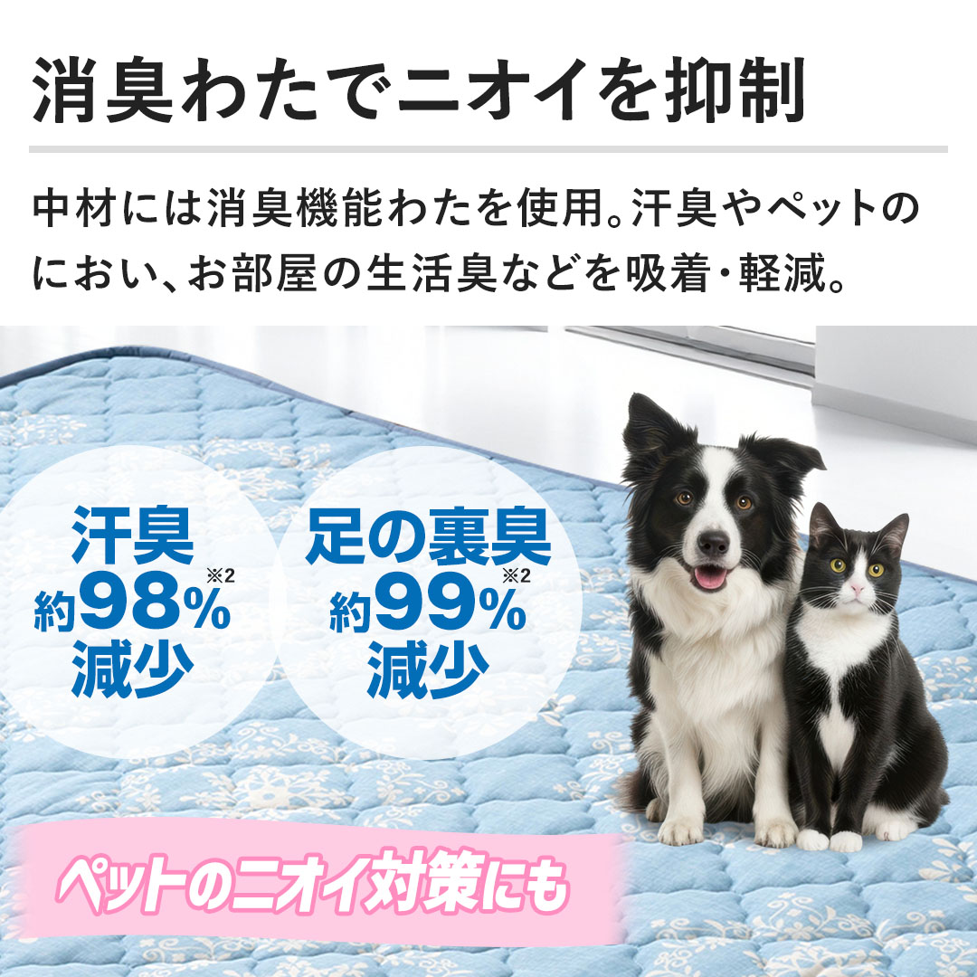 �y���L�킽�Ńj�I�C��}�� �z���ނɂ͏��L�@�\�킽���g�p�B���L��y�b�g�̂ɂ����A�������̐����L�Ȃǂ��z���E�y���B