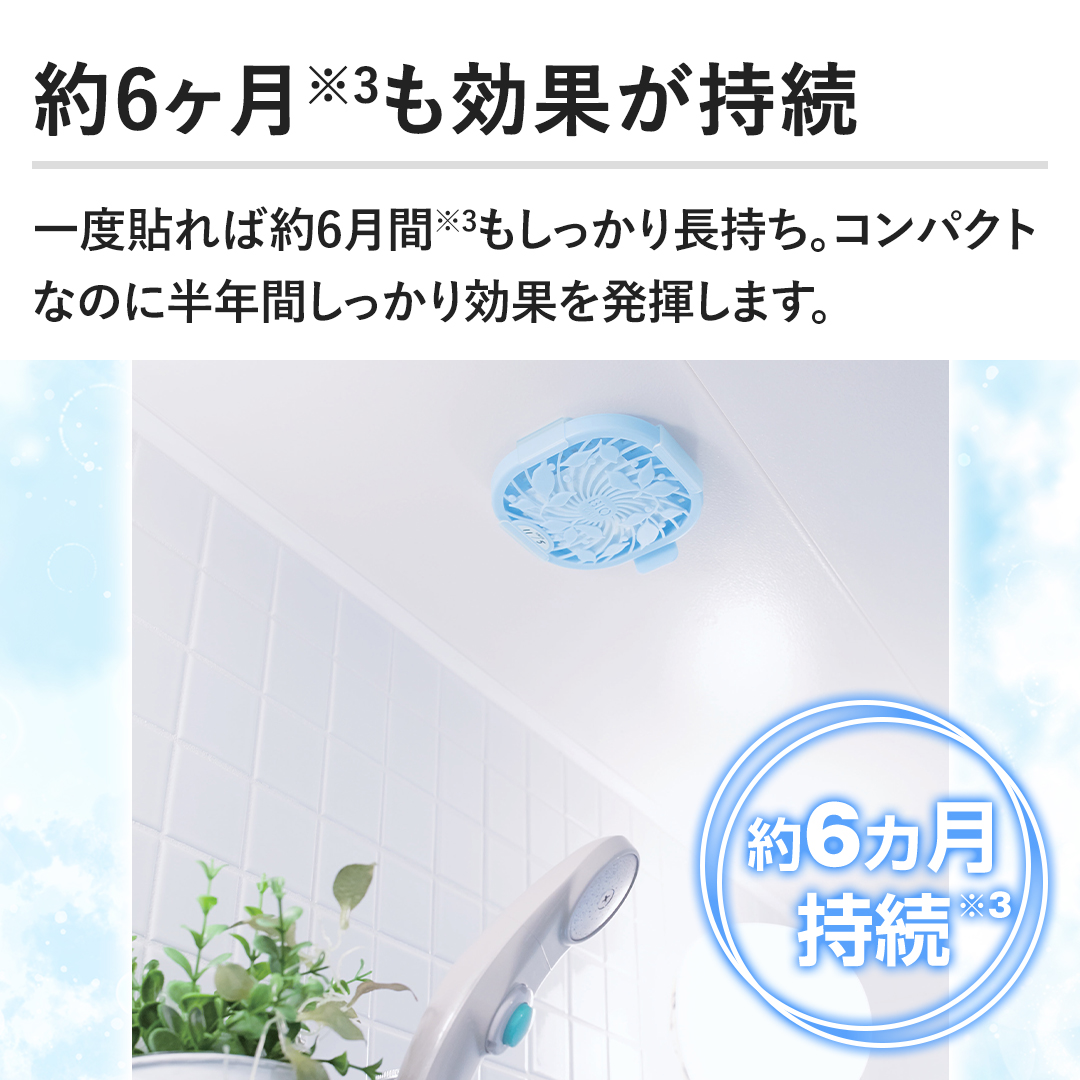 �y��6���������ʂ������z��x�\��Ζ�6���Ԃ��������蒷�����B�R���p�N�g�Ȃ̂ɔ��N�Ԃ���������ʂ𔭊����܂��B