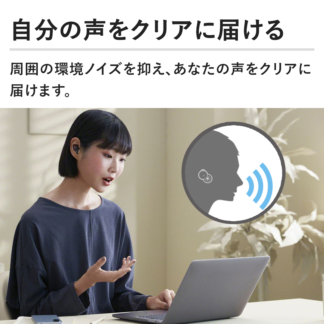 y̐NAɓ͂z͂̊mCY}AȂ̐NAɓ͂܂B